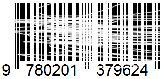 Code-barres 1D endommagé - cas 2